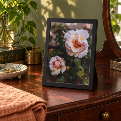 Apricot Candy, 5×7 inch print shown in a styled room mockup. Two pale peach roses blooming among deep green leaves. Frame shown for styling; print sold unframed.