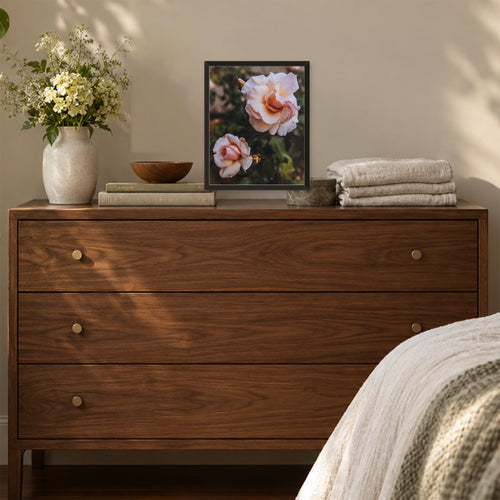 Apricot Candy, 8×10 inch print shown in a styled room mockup. Two pale peach roses blooming among deep green leaves. Frame shown for styling; print sold unframed.