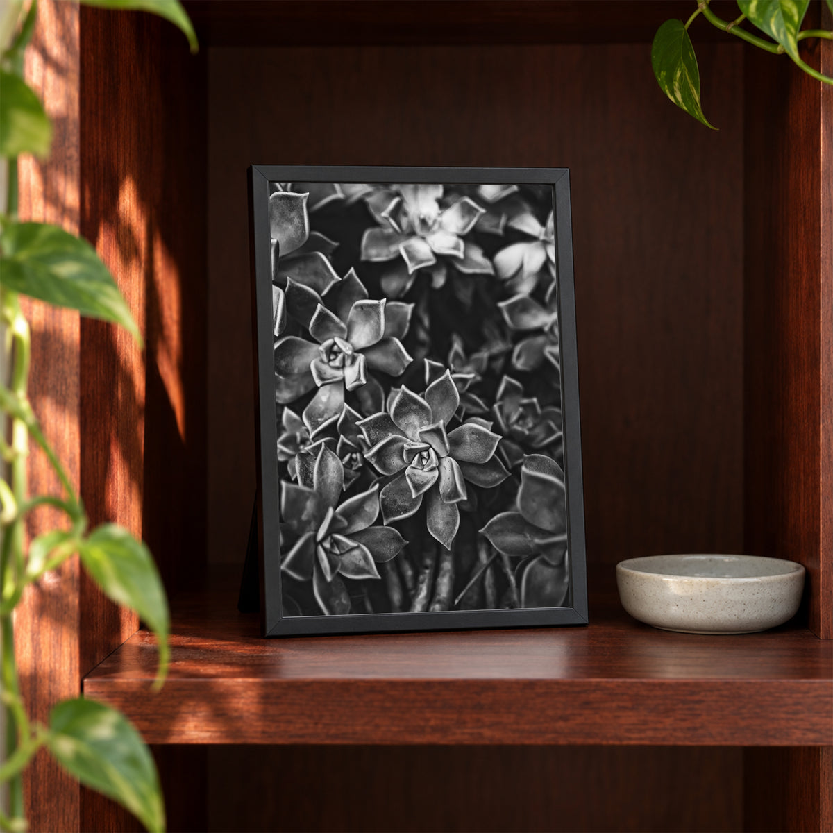 Ghost Plant Succulent I ︱ In Noir, 5×7 inch print shown in a styled room mockup. Dense cluster of succulent rosettes rendered in high-contrast black and white. Frame shown for styling; print sold unframed.